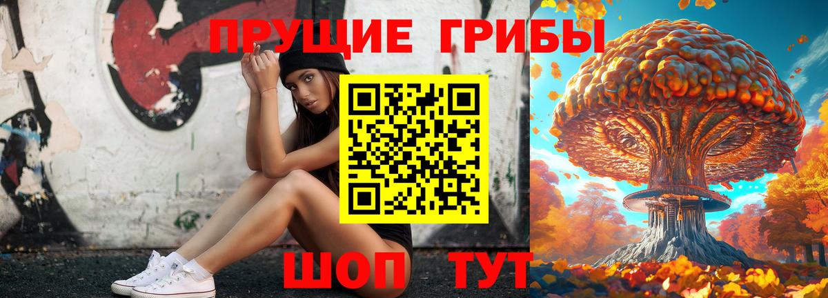 Елабуга  Галлюциногенные грибы ЛСД  Вход с VPN 